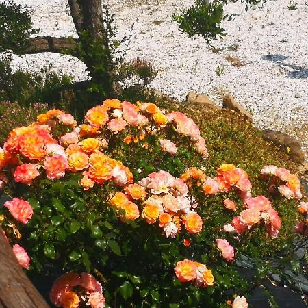 Agriturismo I Colli Montaione Ngoại thất bức ảnh