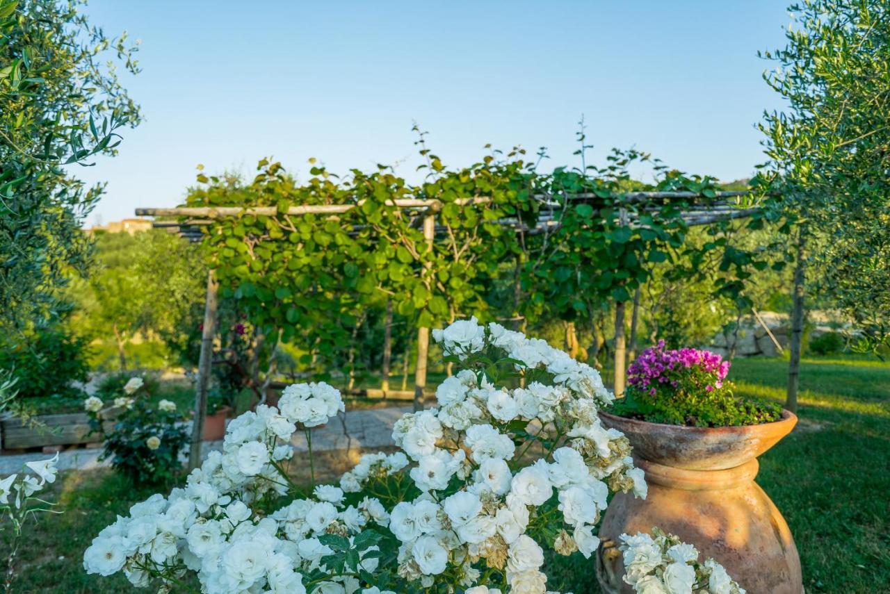 Agriturismo I Colli Montaione Ngoại thất bức ảnh