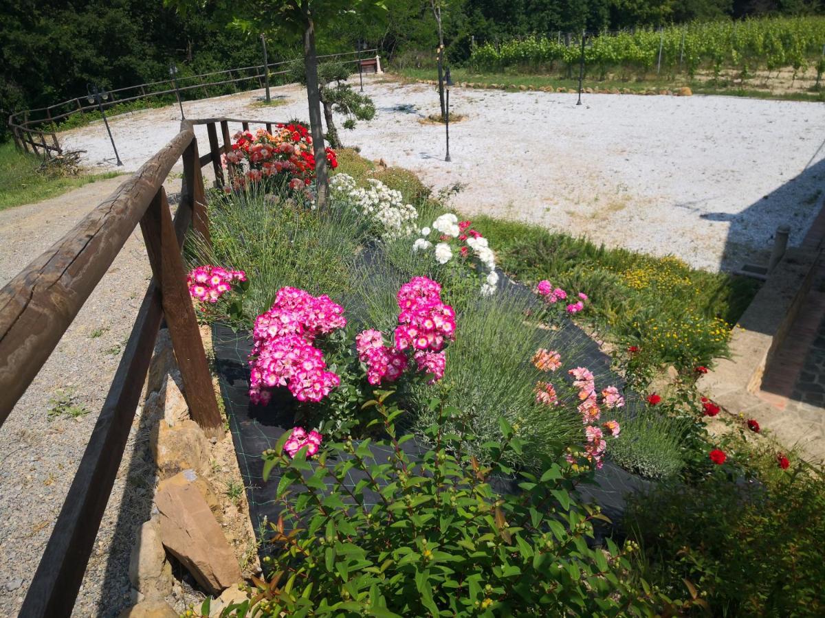 Agriturismo I Colli Montaione Ngoại thất bức ảnh
