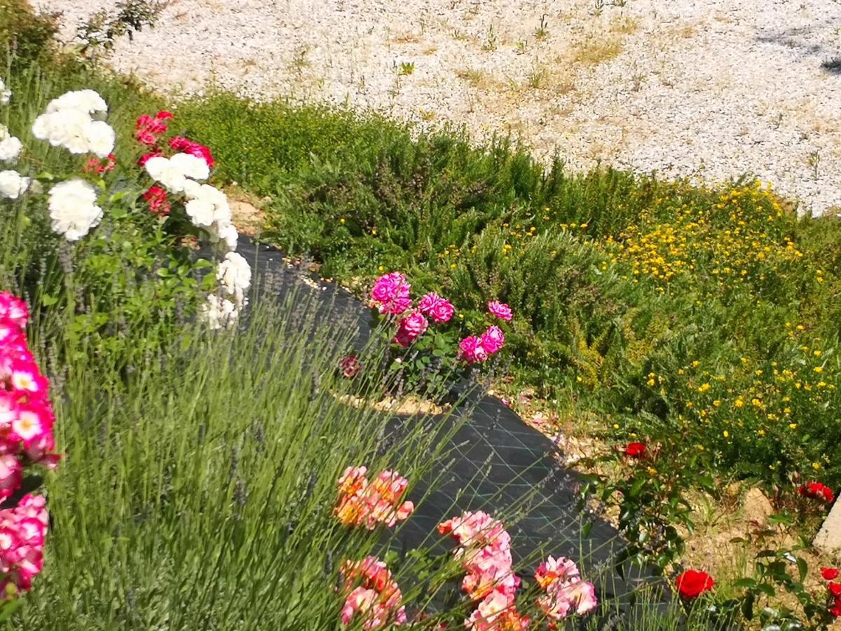Agriturismo I Colli Montaione Ngoại thất bức ảnh