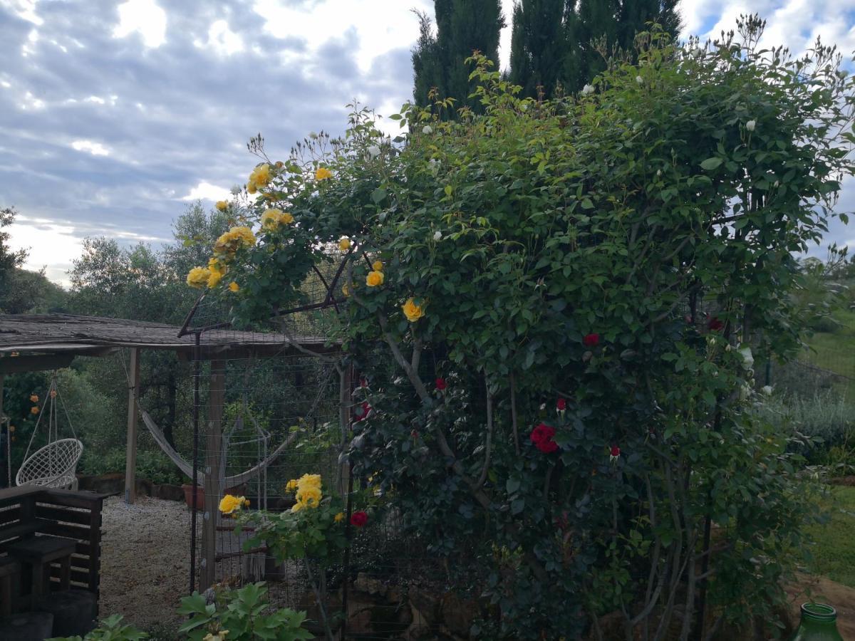 Agriturismo I Colli Montaione Ngoại thất bức ảnh