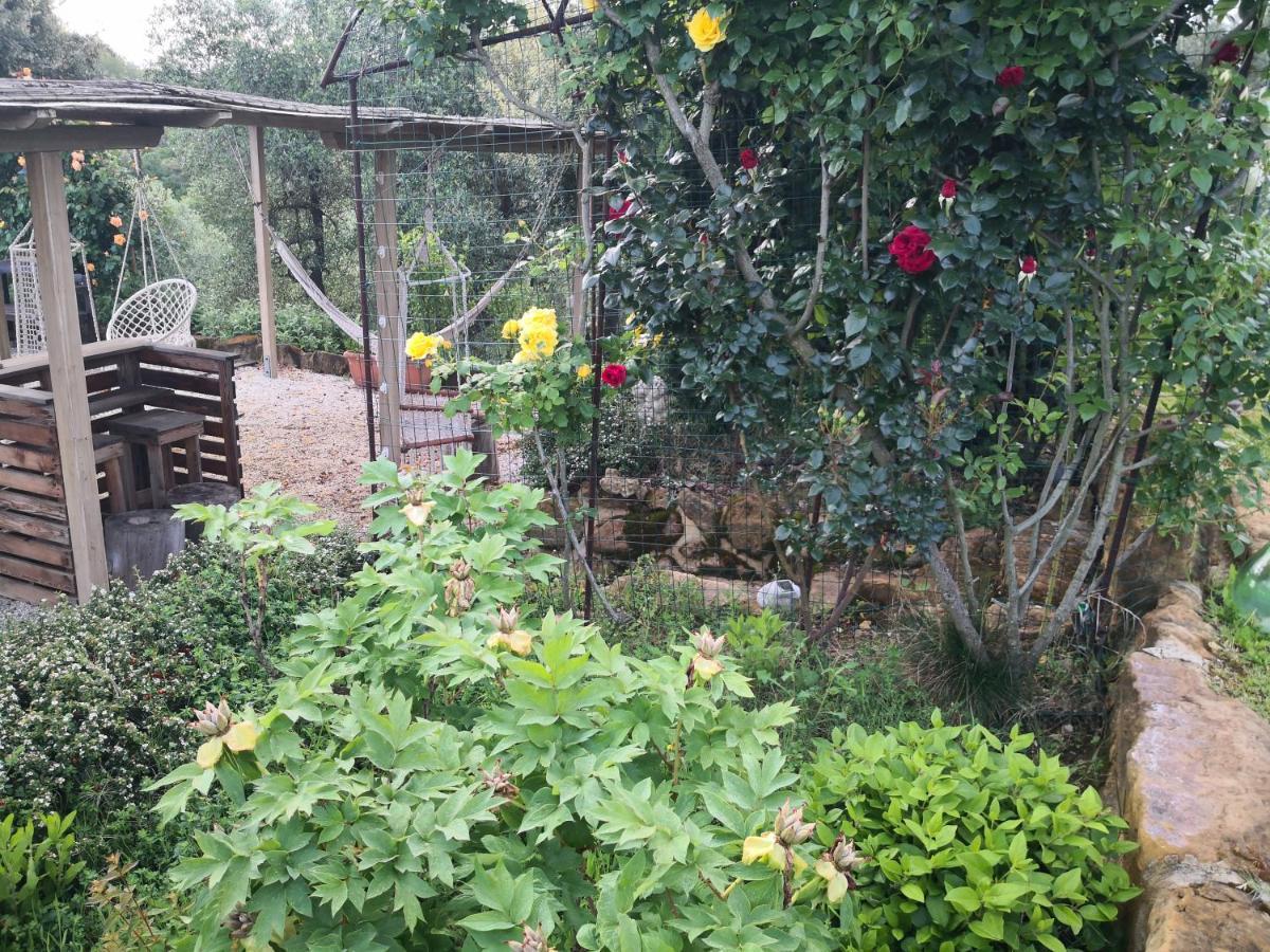 Agriturismo I Colli Montaione Ngoại thất bức ảnh
